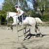 Babie Lato z Hucułami 2015